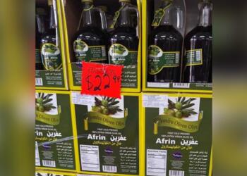 Yıllardır Efrîn zeytinyağı ‘Türk Malı’ etiketiyle dünya sofralarında