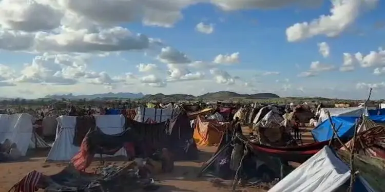 Tawila’da kadın ve çocuklar hayatta kalma mücadelesi veriyor