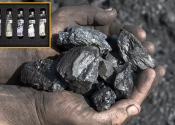 NTE için Çin ve Malezya örneği