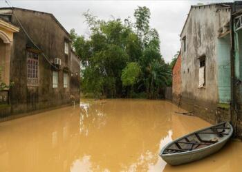 Vietnam’da sel: 41 kişi yaşamını yitirdi