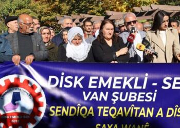 Emekli-Sen’den Rojin Kabaiş için eylem: Failleri yargılansın