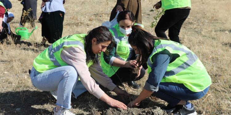 Tuşba’da Kadın Ormanı kuruldu