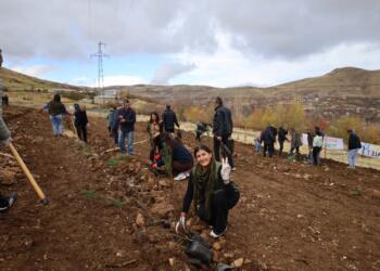 Wan’da Rojin Kabaiş Ormanı oluşturuldu