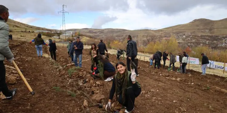 Wan’da Rojin Kabaiş Ormanı oluşturuldu