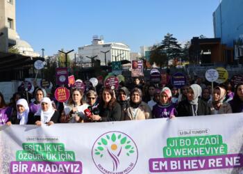 25 Kasıma doğru: Sokaklar bizimdir, mücadelemiz meşrudur