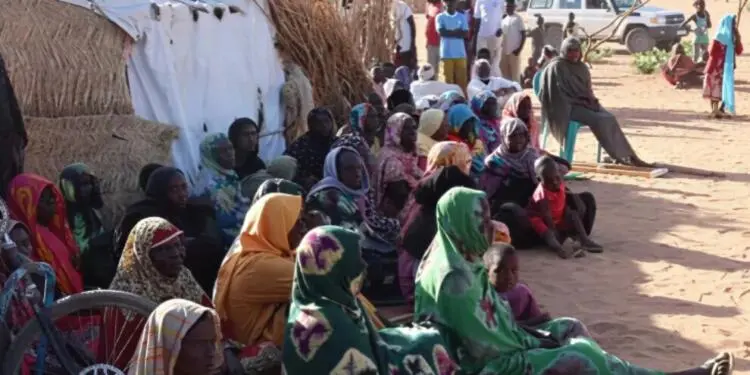 El Faşer’den kaçan kadınlara toplu tecavüz suçları belgelendi