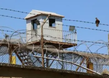 Tutsaktan Aykol’a mektup: Değerli heval, daima iyi ol