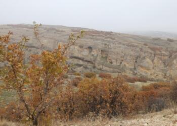 İn Vadisi avcıların hedefinde: Ekosistemi ve yaşamı tehdit ediyorlar