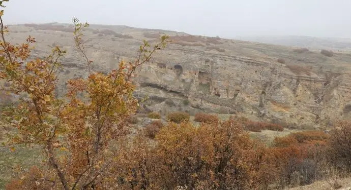 İn Vadisi avcıların hedefinde: Ekosistemi ve yaşamı tehdit ediyorlar