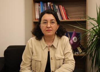 Ebru Günay: Konferansta süreci uluslararası düzeyde tartışacağız