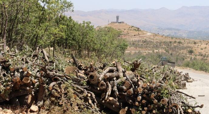Ekolojist Özdemir: Süreçte toplumsal ve ekolojik adalet yan yana gelmeli