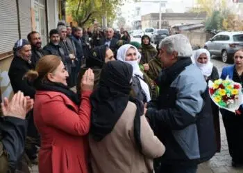 Gülistan Sönük: Demokratik toplum için örgütlülüğümüzü büyütmemiz gerek