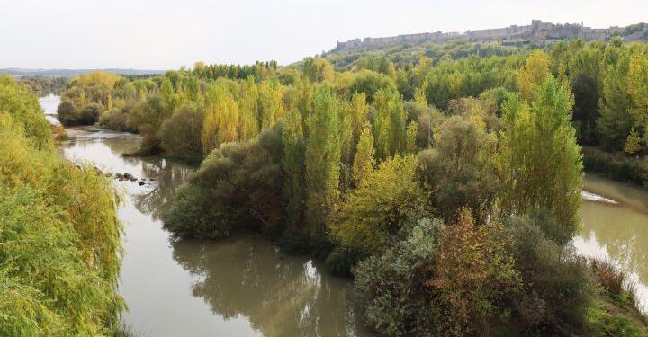 UNESCO uyardı: Dicle Nehri’nin durumu bölgesel krize dönüşecek
