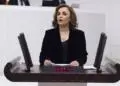 Ayşegül Doğan: Bütçe eşit yurttaşlığı temsil etmiyor