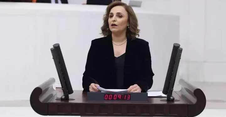 Ayşegül Doğan: Bütçe eşit yurttaşlığı temsil etmiyor