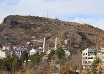 Dêrsim’de fuhuş çetesi: Çözüm toplumsal mücadele