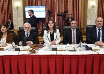 Meral Danış Beştaş: ‘Terör’ paranteziyle bu iş çözülmez