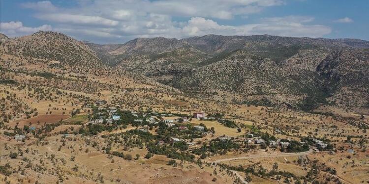 Şirnex’te korucular 36 pezkovîyi katletti