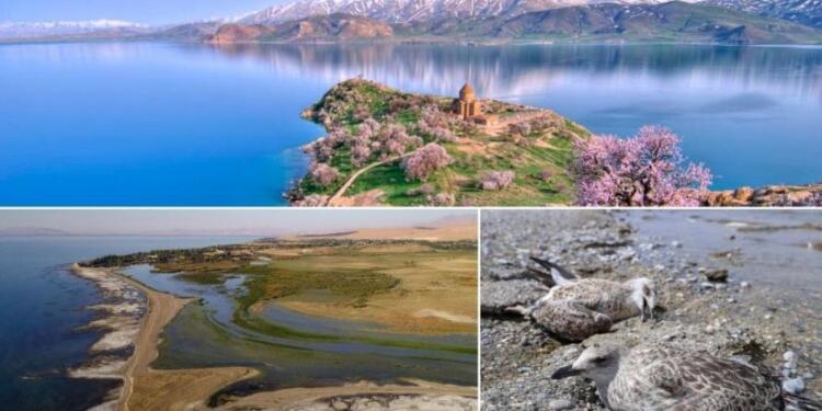 Wan’da 128 kaynak sudan sadece 38’i akıyor