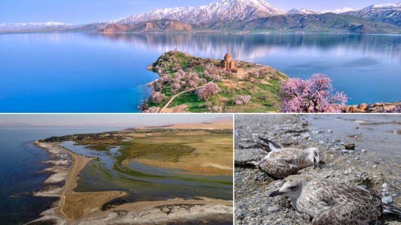 Wan’da 128 kaynak sudan sadece 38’i akıyor