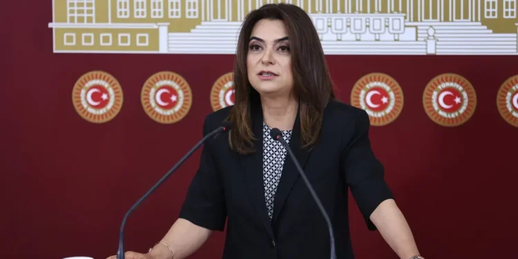 Koçyiğit: Süreç karşıtlığının arkasında norm dışı devlet odakları var