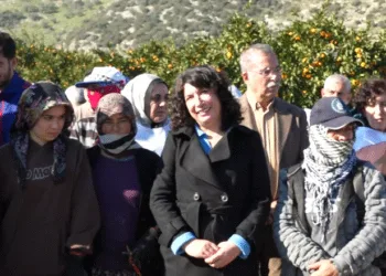 DEM Parti’den 4 koldan yürüyüş: Savaşa değil barışa bütçe