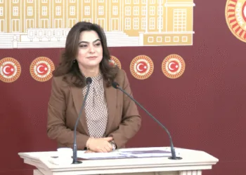 Koçyiğit: Mesele artık asayiş değil, demokrasi meselesidir