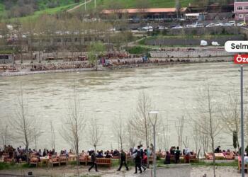 Kayyımla gelen işgal, çetelere yol açtı