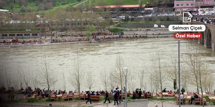 Kayyımla gelen işgal, çetelere yol açtı