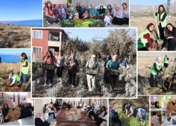 Artemêt Belediye Eşbaşkanı: Artemêt’i ekolojik kadın kentine dönüştüreceğiz