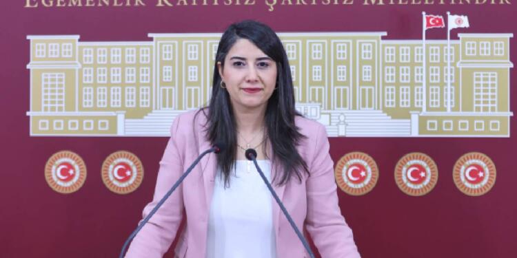 Dilan Ayan: Silivri’deki 3 bin kişilik duruşma salonunun amacı nedir?