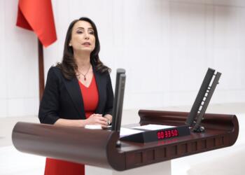 Hatimoğulları: Çoğulculuk tehdit değil, barışçıl ve adil geleceğin temelidir