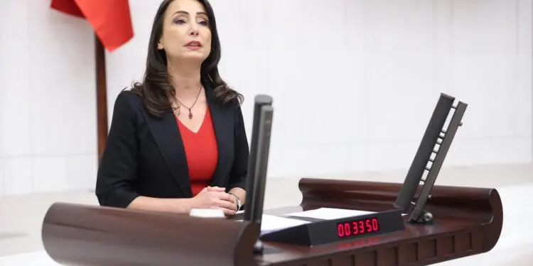 Hatimoğulları: Çoğulculuk tehdit değil, barışçıl ve adil geleceğin temelidir