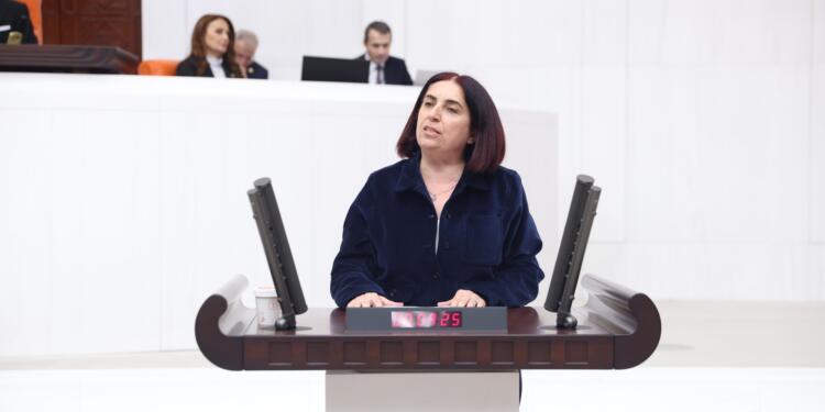 Sevilay Çelenk: Barışını kuran ülke, yaşamın tüm fırsatlarını yakalar