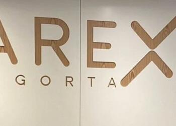 30 kişi hakkında gözaltı kararı: Sigorta şirketine kayyım atandı