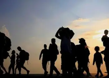 Avukat Ukay: GGM’ler için yasal düzenlemeler yapılmalı