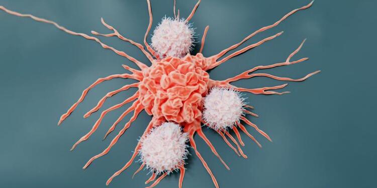 TÜİK 2022 kanser verilerini açıkladı: Agirî ilk sırada