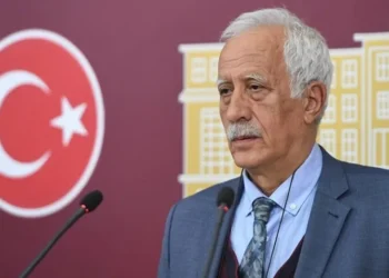 DEM Partili Çiftyürek: Devlet de ‘silaha dönüş yok’ demeli