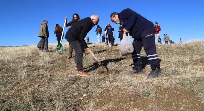 Erxenî’de yangında zarar gören bölgeye 5 bin palamut ekildi