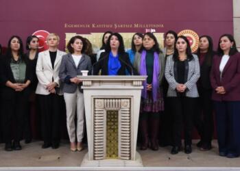 DEM Parti Meclis Kadın Grubu’ndan ‘istismar’ açıklaması