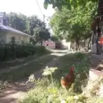 Bir zamanlar köyler: Hükümet çukurları