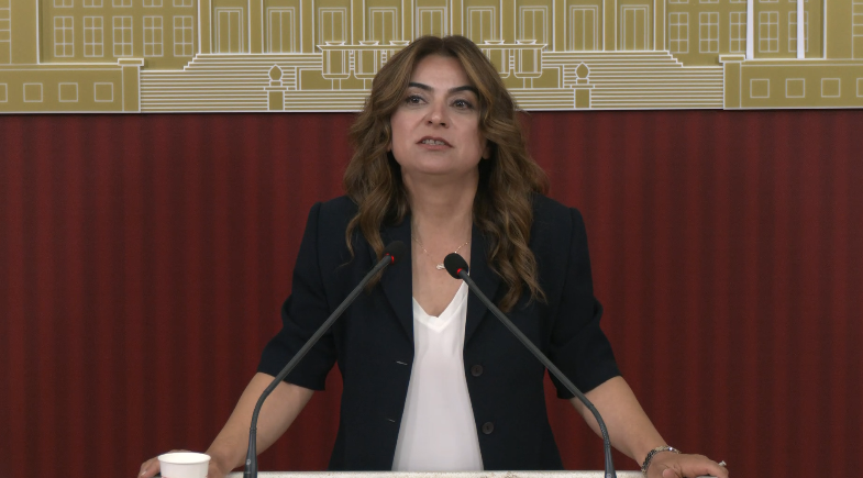 Gülistan Kılıç Koçyiğit Meclis’te açıklamalarda bulunuyor CANLI